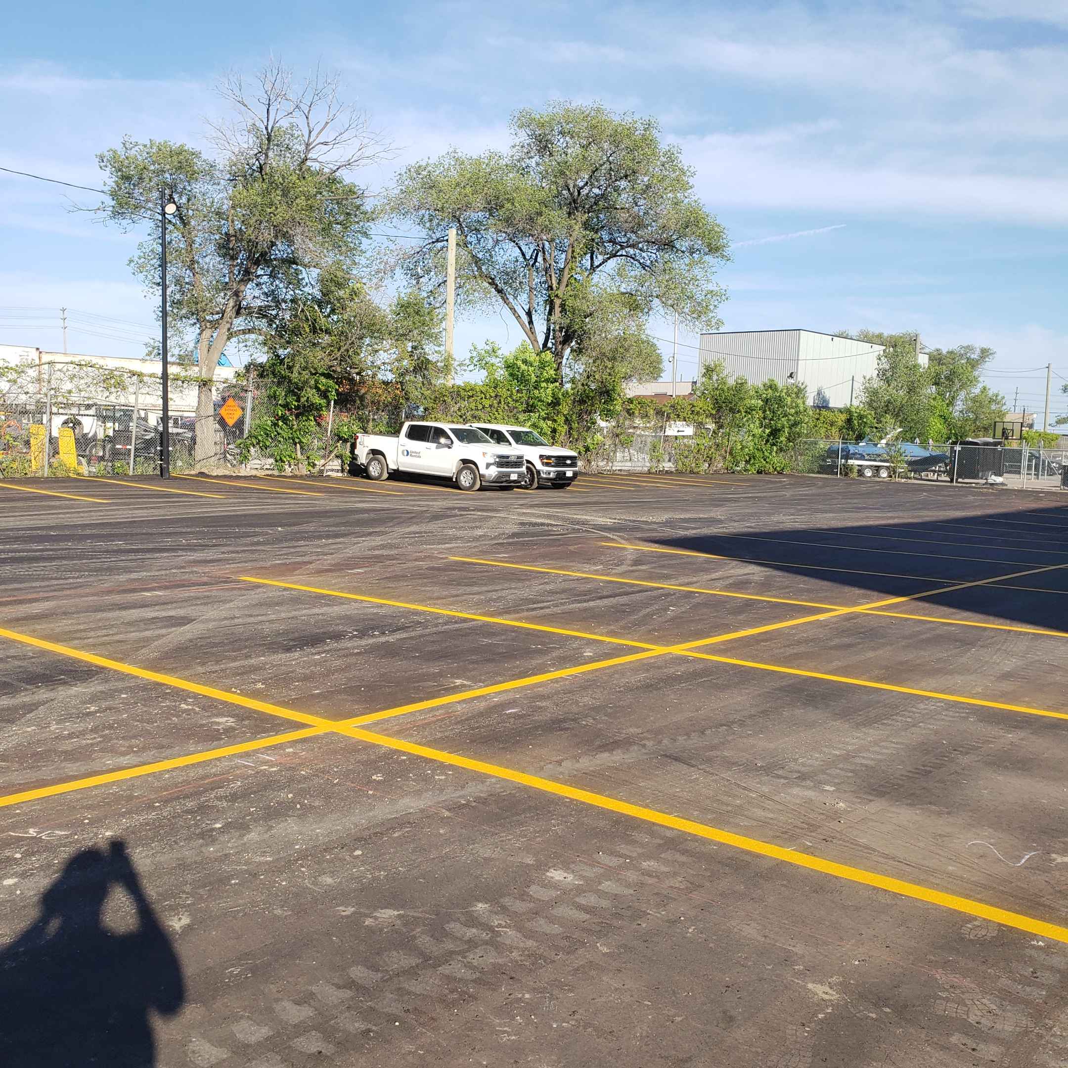 Cracked pavement in parking lot