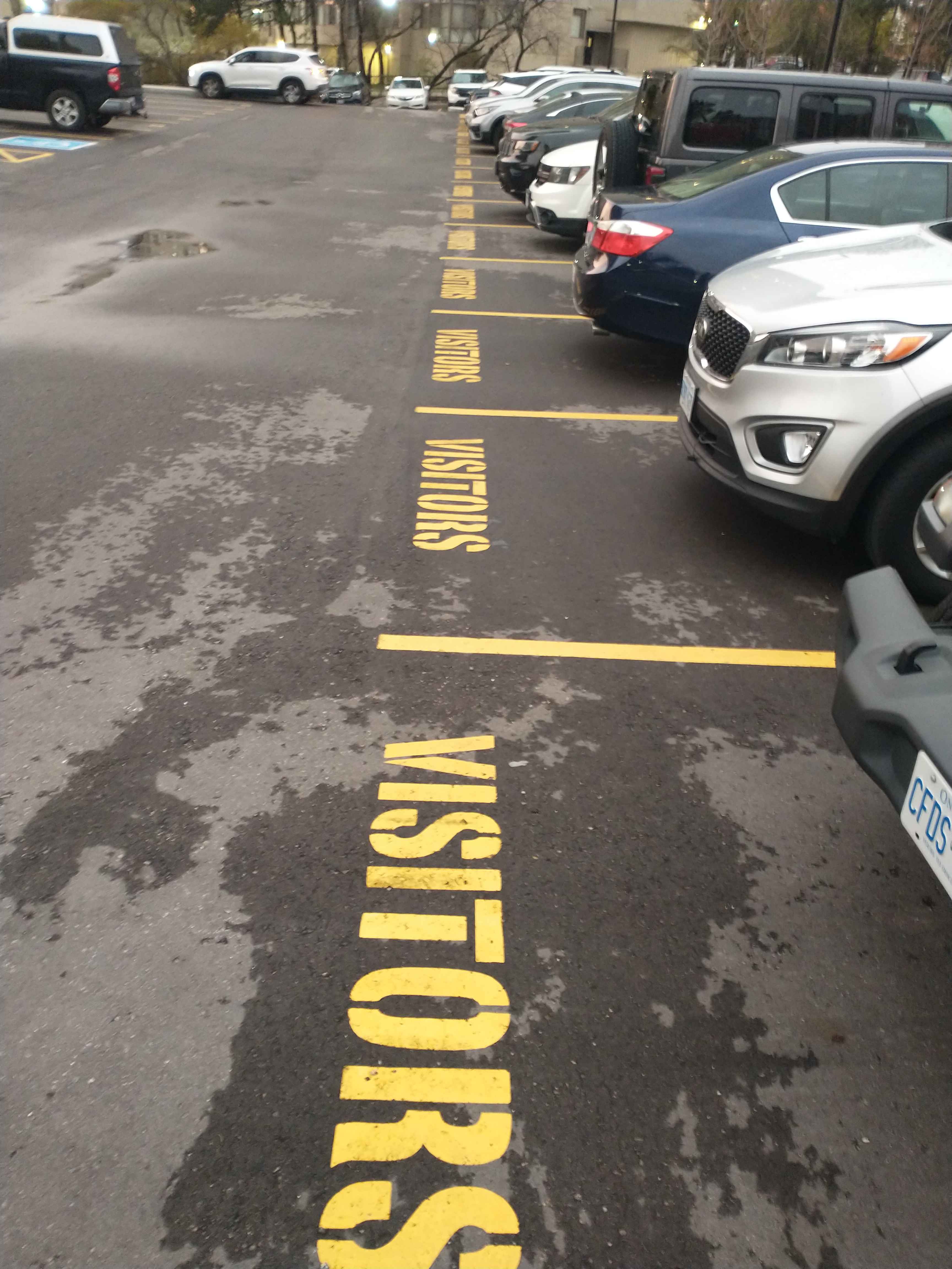 Why Consistent Line Markings Reduce Parking Lot Confusion